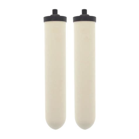 Doulton W9123053 UltraCarb 10 Inch Ceramic Candle Filter Cartridge (2 PACK)